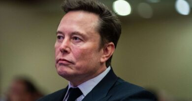 Angleterre : Le gouvernement dénonce les « erreurs de jugement » d’Elon Musk