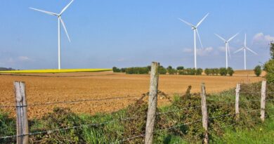 C’est quoi cette histoire de clôtures trop hautes en Sologne ?