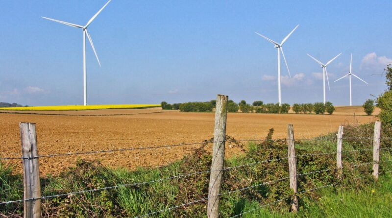 C’est quoi cette histoire de clôtures trop hautes en Sologne ?