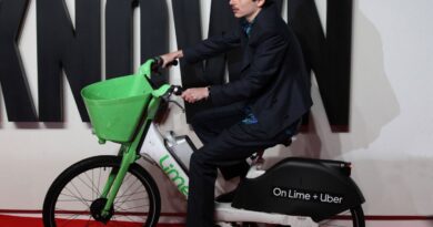 Cinéma : quand l’acteur Timothée Chalamet débarque à vélo sur le tapis rouge à Londres