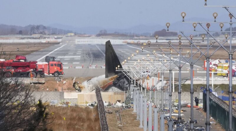 Corée du Sud : Des plumes d’oiseaux retrouvées dans les moteurs du Boeing qui s’est écrasé à l'aéroport