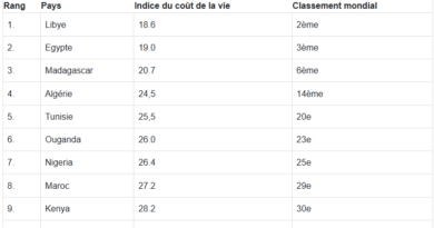 Coût de la vie : où se classe l’Algérie dans le monde et en Afrique en 2025 ?