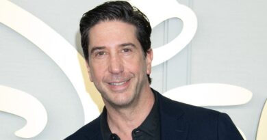 Dans une autre vie, David Schwimmer a joué les huissiers de justice pour sa mère avocate