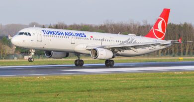 Des punaises de lit découvertes dans les vols de la Turkish Airlines ?