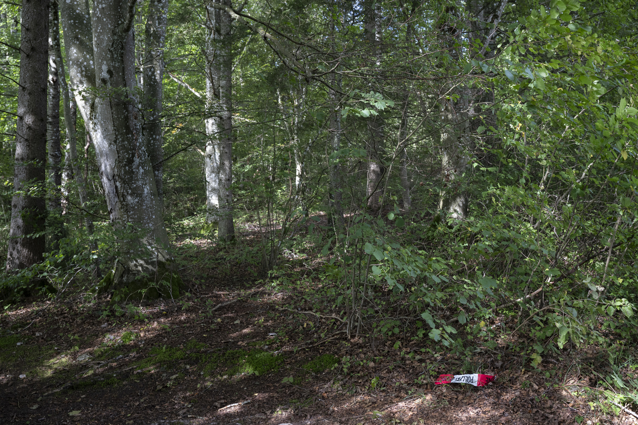 La zone forestière de Merishausen, près de la frontière allemande, où la capsule Sarco a été utilisée pour la première fois. Au sol, un reste de la bande de démarcation utilisée par la police.