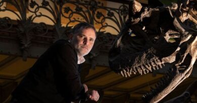 Dinosaures : « Jamais nous n’aurions pensé trouver une nouvelle espèce » sur le site d’Angeac, en Charente