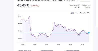 Donald Trump : « Du shit coin », « une caricature »… Pourquoi il faut se méfier de la cryptomonnaie du président américain