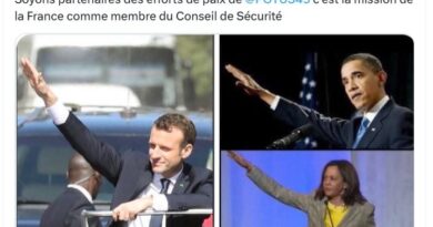 Elon Musk : Emmanuel Macron, Kamala Harris et Barack Obama tendant le bras ? Pourquoi ces photos sont trompeuses