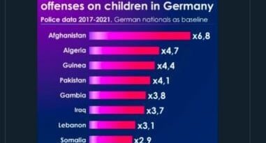 Elon Musk partage une « statistique bidon » sur les Algériens