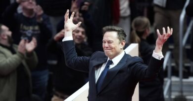 Elon Musk soutient le parti allemand d’extrême-droite lors d’un meeting