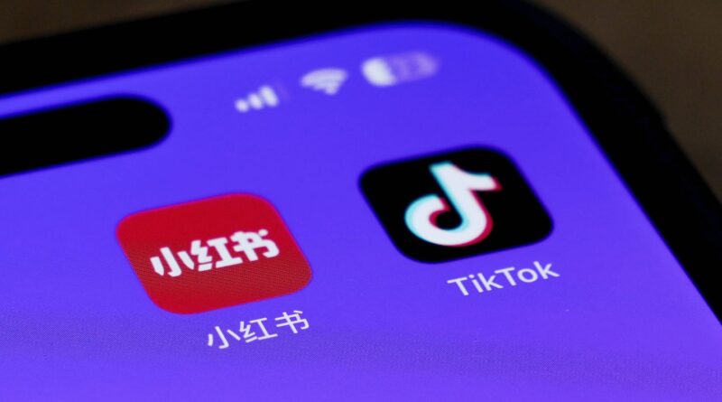 Etats-Unis : C’est quoi RedNote, l’application chinoise vers laquelle affluent les utilisateurs de TikTok ?