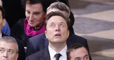 Extrême droite : « Elon Musk n’a pas toujours été libertarien, il va d’abord là où ses intérêts sont »