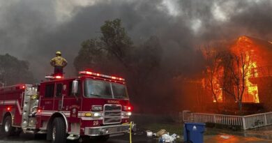 Feux de Los Angeles : détenus “volontaires”, agents privés, … qui sont les pompiers qui tentent d’éteindre les incendies ?