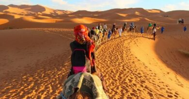 Forbes distingue l’Algérie : une destination à ne pas manquer en 2025