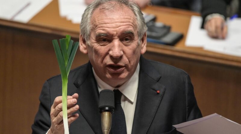 Gouvernement Bayrou : On a vérifié si les poireaux poussent « tous à la même vitesse » contrairement aux enfants