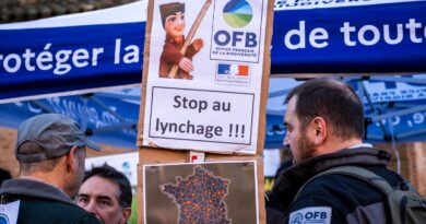 Grève inédite de l’OFB : Il faut « renouer le dialogue avec les agriculteurs », assure la ministre de l’Agriculture