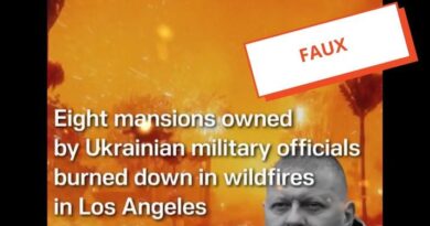 Guerre en Ukraine : Comment la propagande russe profite des incendies à Los Angeles pour viser l’Ukraine