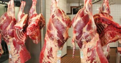 Importations massives : 28 000 tonnes de viande rouge et blanche pour le Ramadan 2025