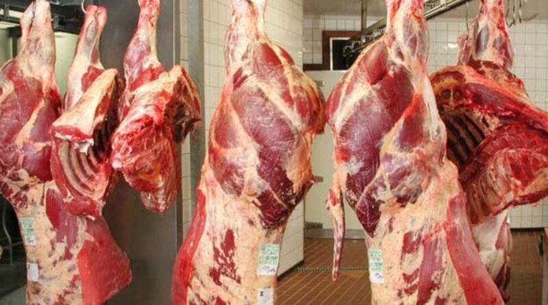 Importations massives : 28 000 tonnes de viande rouge et blanche pour le Ramadan 2025