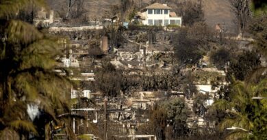 Incendies à Los Angeles : l’industrie du cinéma doit revoir son agenda