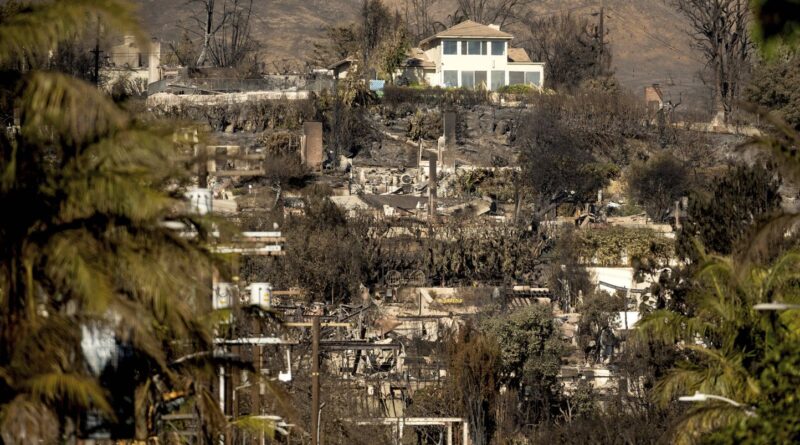 Incendies à Los Angeles : l’industrie du cinéma doit revoir son agenda