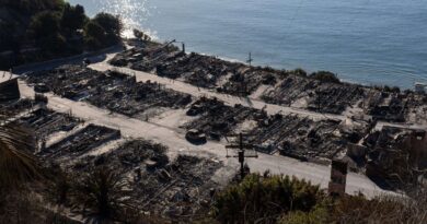 Incendies à Los Angeles : Négligences, acte criminel… Les nombreuses pistes des enquêteurs à Pacific Palisades