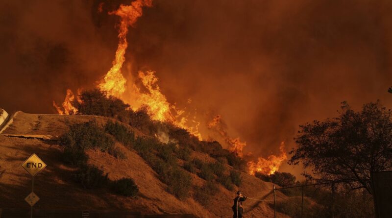 Incendies à Los Angeles : Seize morts, nouveaux quartiers touchés, retour du vent… La situation est hors de contrôle