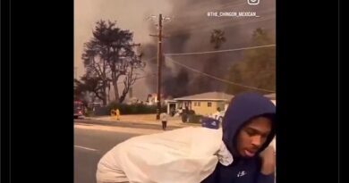 Incendies : Attention à ces fausses vidéos de prétendus pillage à Los Angeles