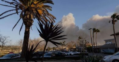 Incendies de Los Angeles : C’est quoi les vents de Santa Ana qui aggravent la situation ?