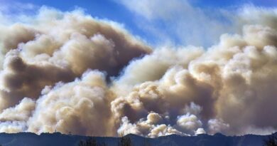 Incendies de Los Angeles : La pollution de l’air et des cendres toxiques inquiètent les experts