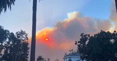 Incendies de Los Angeles : « On a compris assez vite que ça allait être un feu très destructeur », les Français racontent