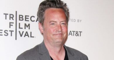 La maison où est décédé Matthew Perry a survécu aux incendies