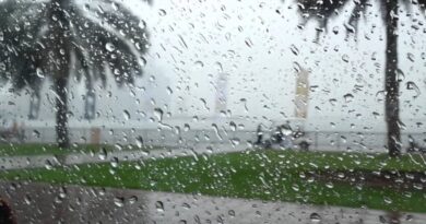 La météo en Algérie ce samedi 25 janvier : retour de la pluie dans plusieurs régions !