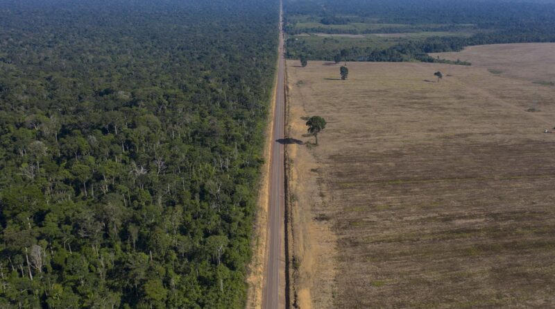 L’Amazonie brésilienne a connu en 2024 un nombre d’incendies record en 17 ans