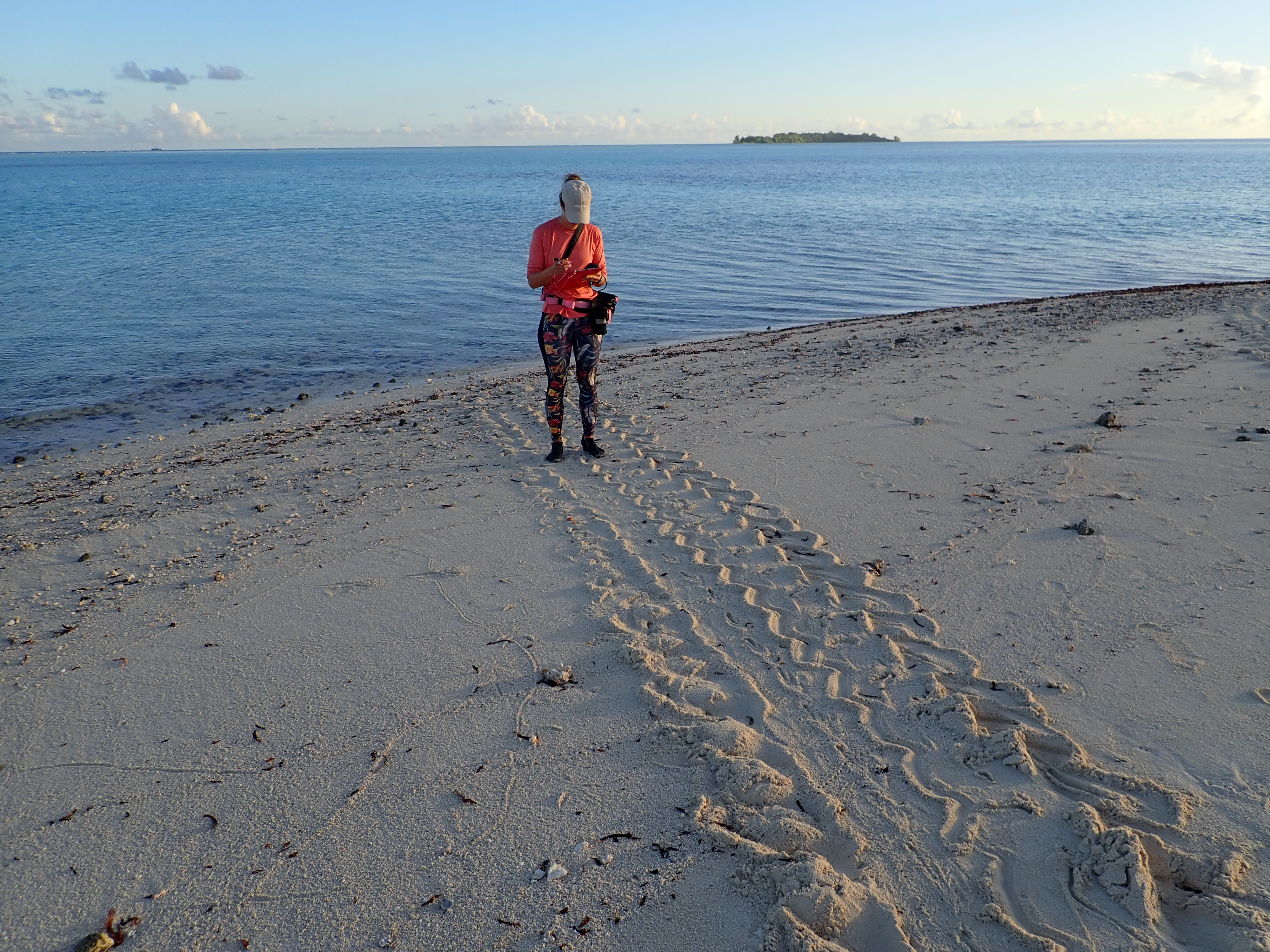 Henriette Grimmel utilise un GPS pour suivre les traces d’une tortue marine dans l'Atoll de Saint-Joseph.