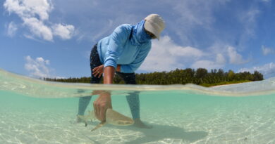 Le paradis comme lieu de travail: une Suisse explore l’océan aux Seychelles