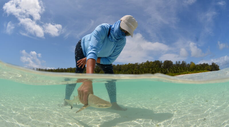 Le paradis comme lieu de travail: une Suisse explore l’océan aux Seychelles