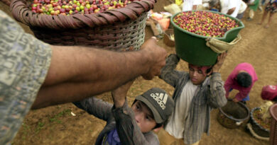 Le travail des enfants ne concerne pas que l'industrie du chocolat