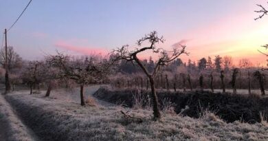 Météo : Où a-t-il fait le plus froid aujourd’hui en France ?