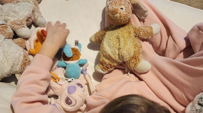 Moselle : Son véhicule volé et incendié, elle retrouve le doudou de sa fille autiste sur la banquette arrière