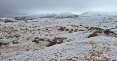 Naâma : Un tableau hivernal où les dunes de sable se parent de blanc