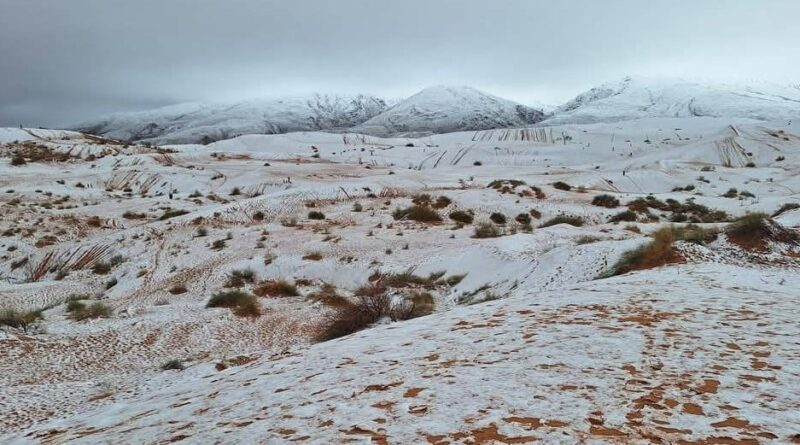 Naâma : Un tableau hivernal où les dunes de sable se parent de blanc