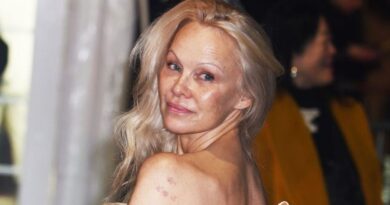 Pamela Anderson a été agressée dans un avion par un homme qui l’avait confondue avec une autre célébrité