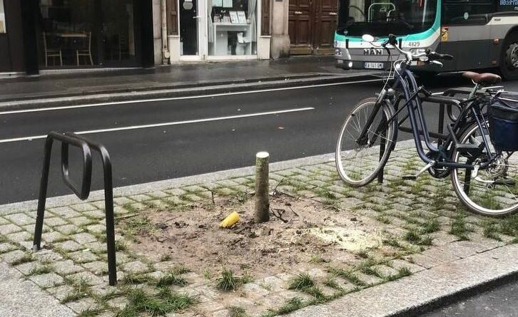 Paris: Des agents de la ville abattent par erreur des arbres fraîchement plantés