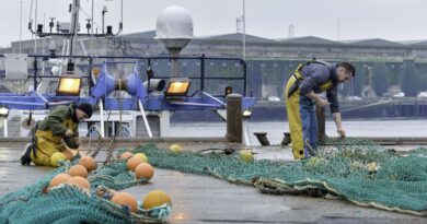 « Pas des massacreurs de dauphins »… L'« abattement » des pêcheurs interdits de pêche dans le golfe de Gascogne