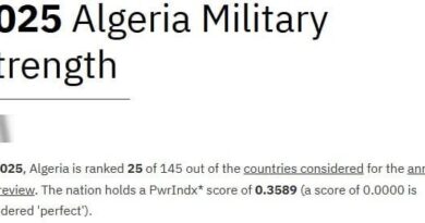 Puissances militaires mondiales en 2025 : Voici le classement de l’Algérie