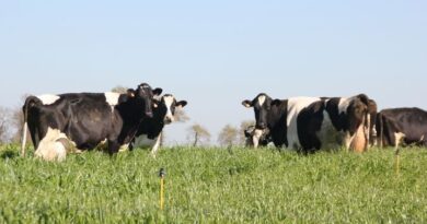 Qu’est-ce que l’Agence bio dont le Sénat veut la peau ?