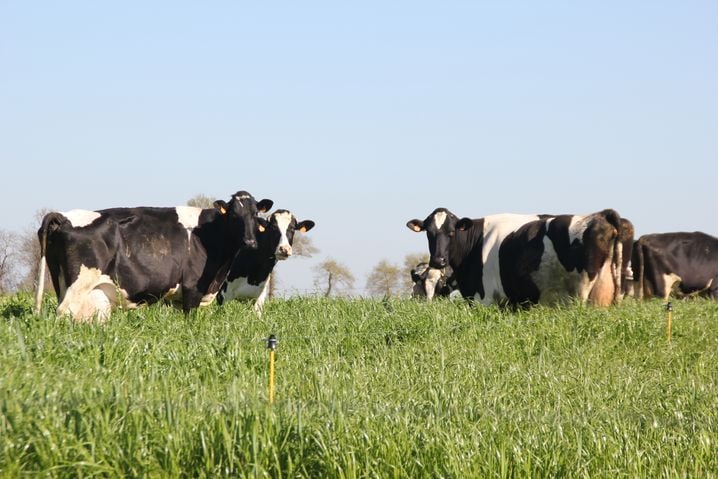 En 2024, un quart des nouveaux agriculteurs installés en France étaient convertis en bio.