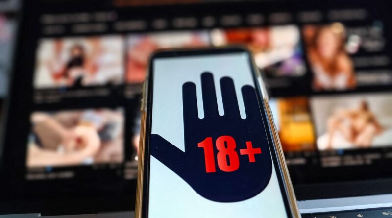 Sites pornos : L’obligation de vérifier l’âge des utilisateurs est-elle vraiment appliquée ? On a vérifié