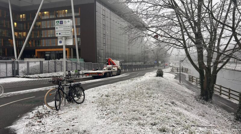 Strasbourg : D’où vient cette « neige bizarre » qui ne recouvre que certains quartiers ?